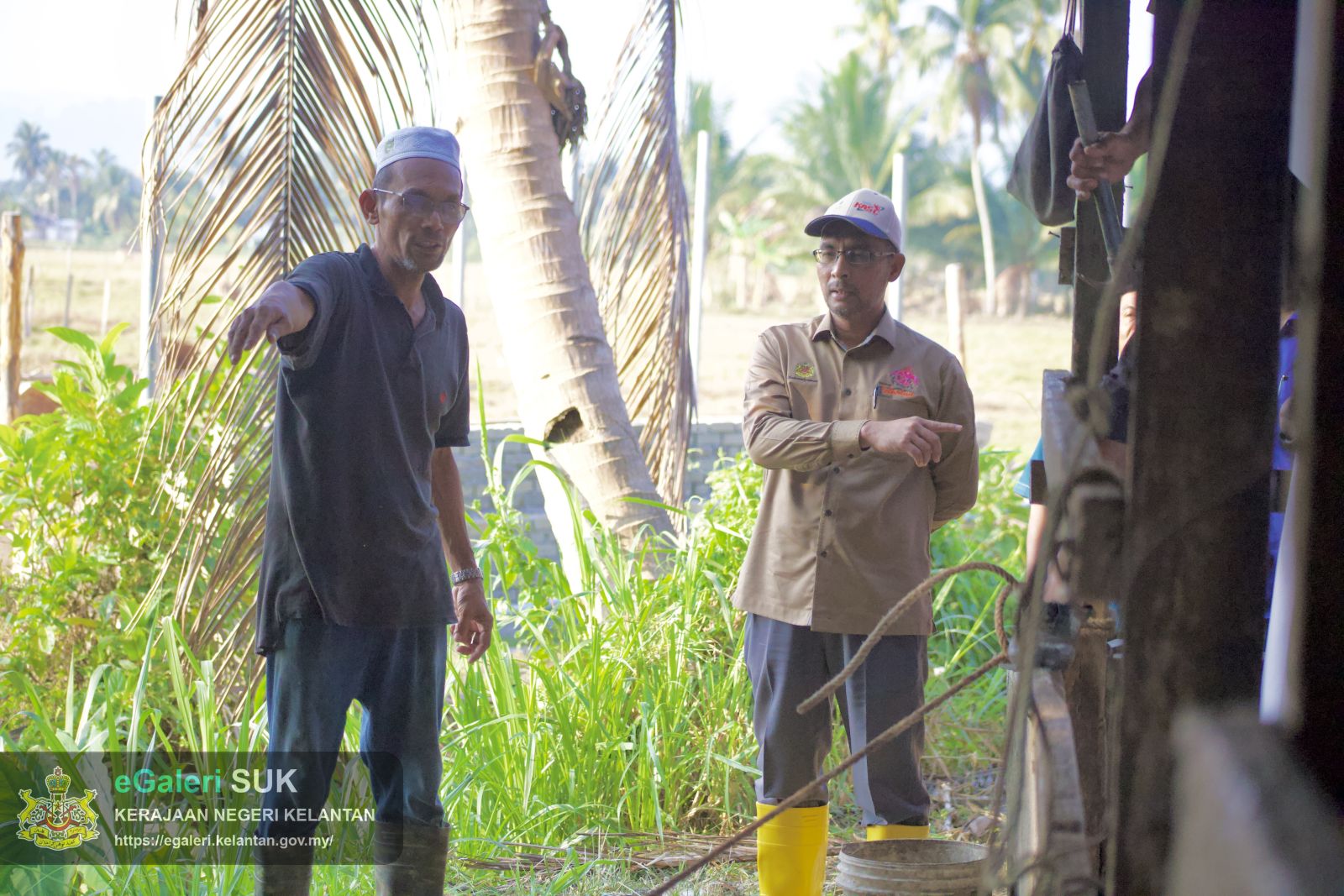 rakaman-gambar-proses-melapah-lembu-bagi-program-agihan-daging-lembu-kurniaan-kebawah-duli-yang-maha-mulia-sultan-muhammad-v-3.jpg