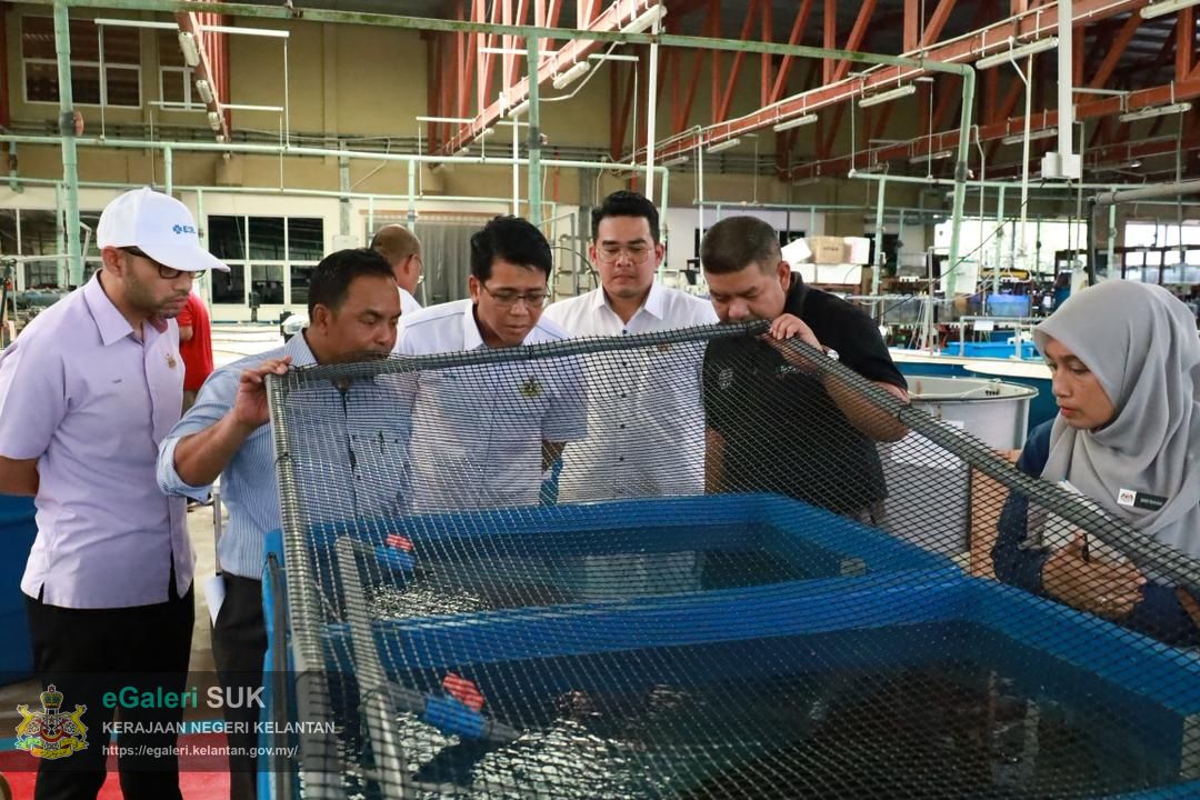 lawatan-kerja-ke-universiti-malaysia-terengganu-umt-bagi-tujuan-perkongsian-maklumat-konservasi-ketam-nipah-3.jpg