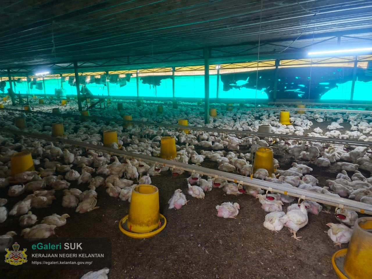 Semakan Status Ladang Unggas di Bawah Enakmen Perladangan Unggas 2005