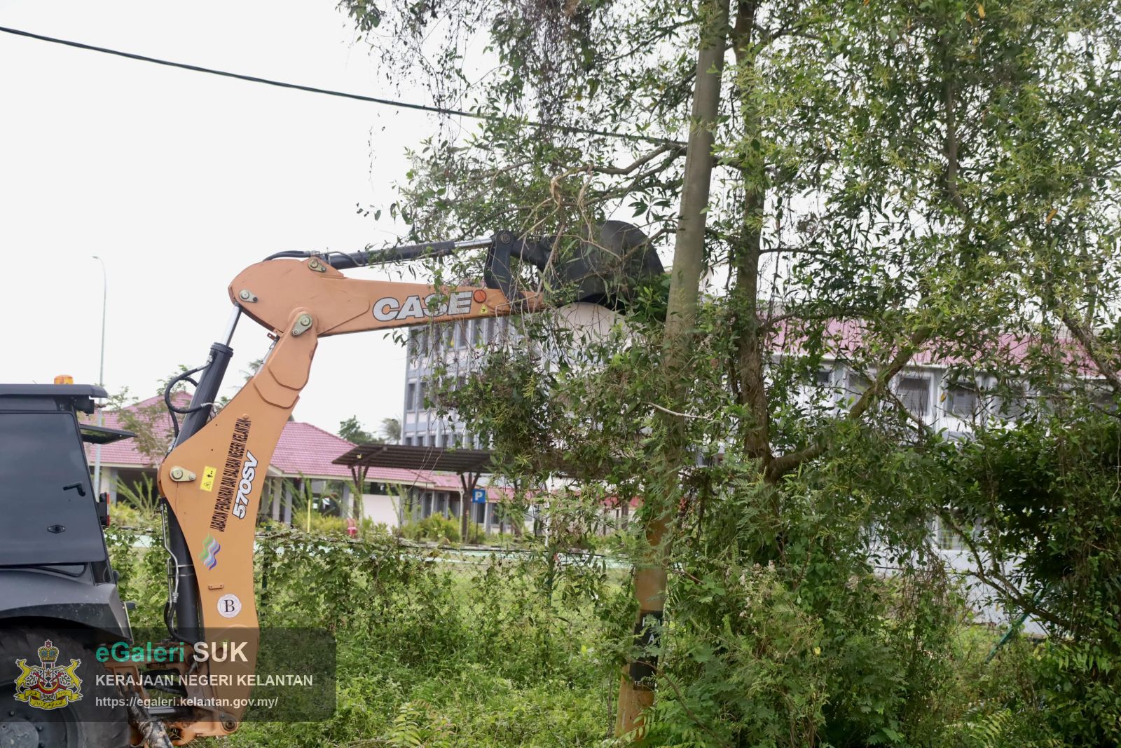 program-penebangan-pokok-usang-di-jalan-pasir-putehtok-bali-yang-melibatkan-pelbagai-agensi-14.JPG