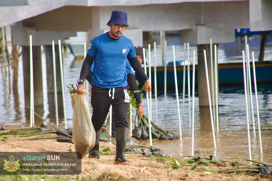 program-penanaman-pokok-bakau-di-jeti-laguna-semerak-pasir-puteh-5.jpg