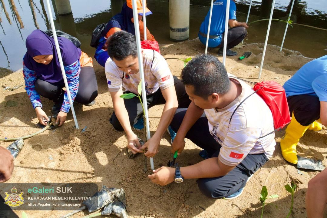 program-penanaman-pokok-bakau-di-jeti-laguna-semerak-pasir-puteh-32.jpg