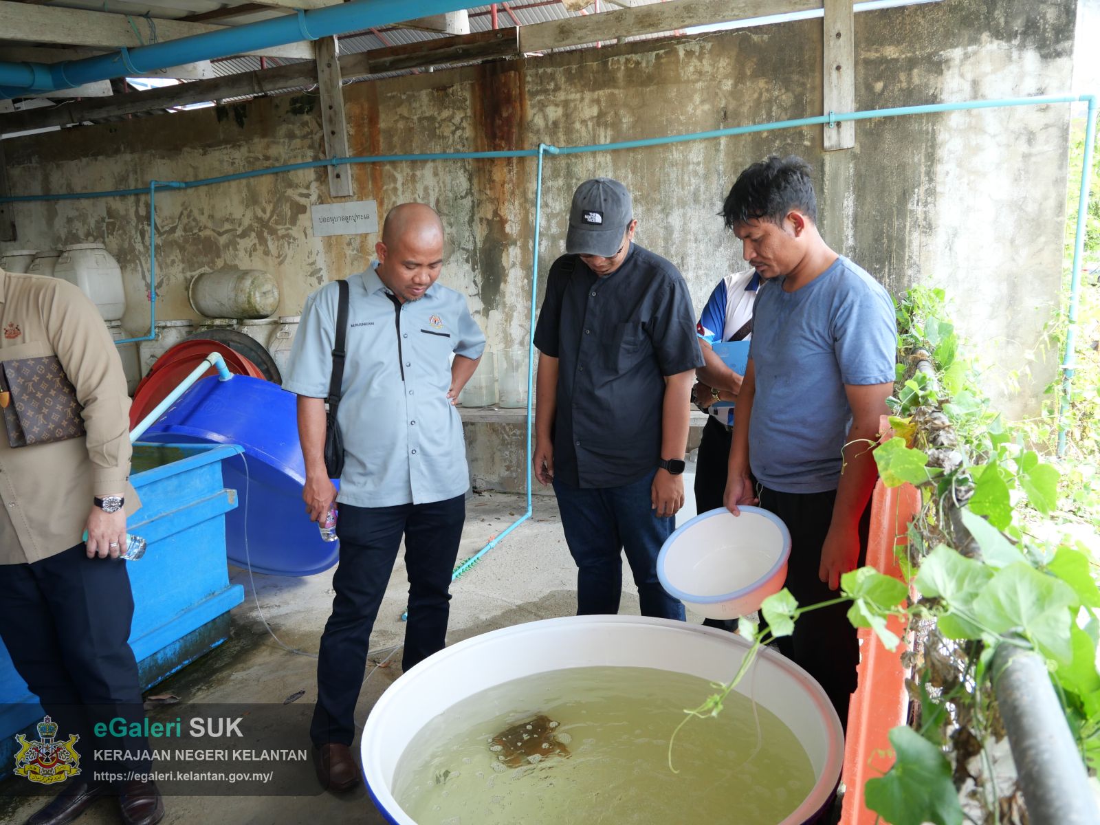 lawatan-penanda-aras-dan-teknikal-bagi-konservasi-ketam-nipah-projek-ecological-fiscal-transfer-for-biodiversity-eft-tahun-2026-8.JPG