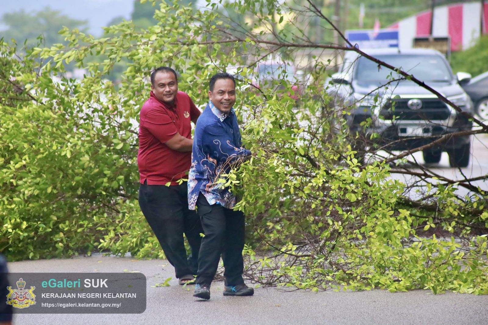 program-penebangan-pokok-usang-1.JPG