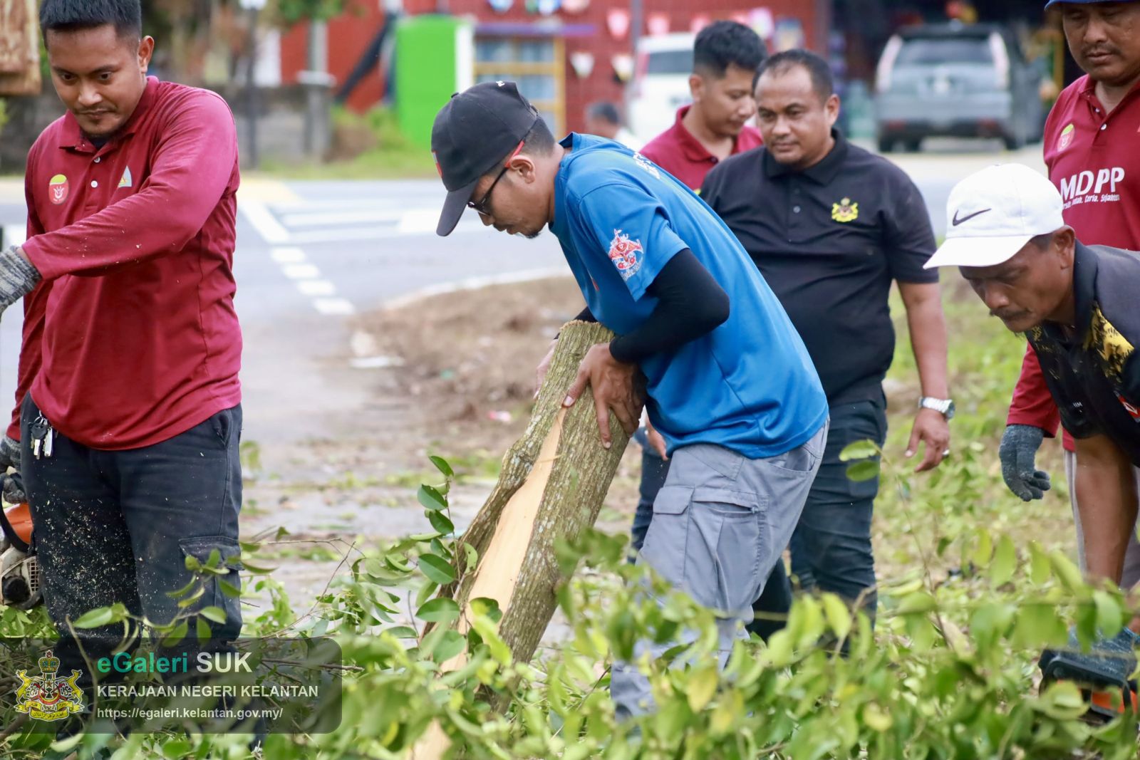 program-penebangan-pokok-usang-di-jalan-pasir-putehtok-bali-yang-melibatkan-pelbagai-agensi-19.JPG