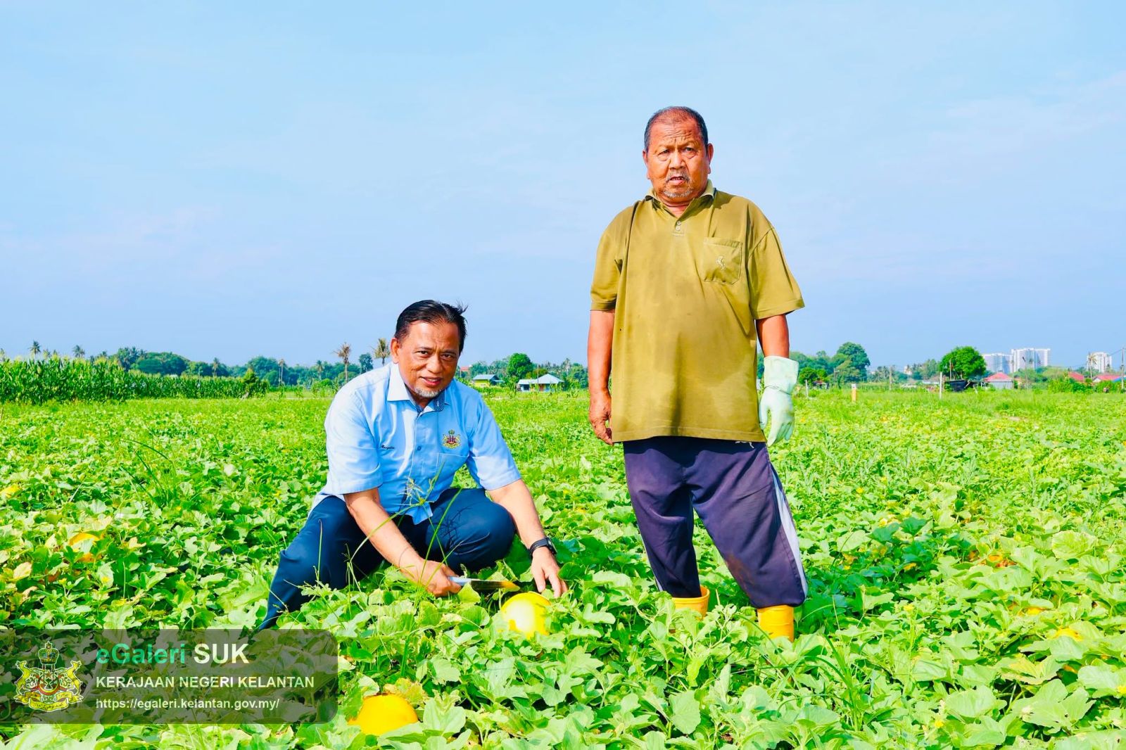 lwatan-yabrs-ketua-jajahan-ke-projek-tanaman-banggol-melon-rock-melon-13.jpg