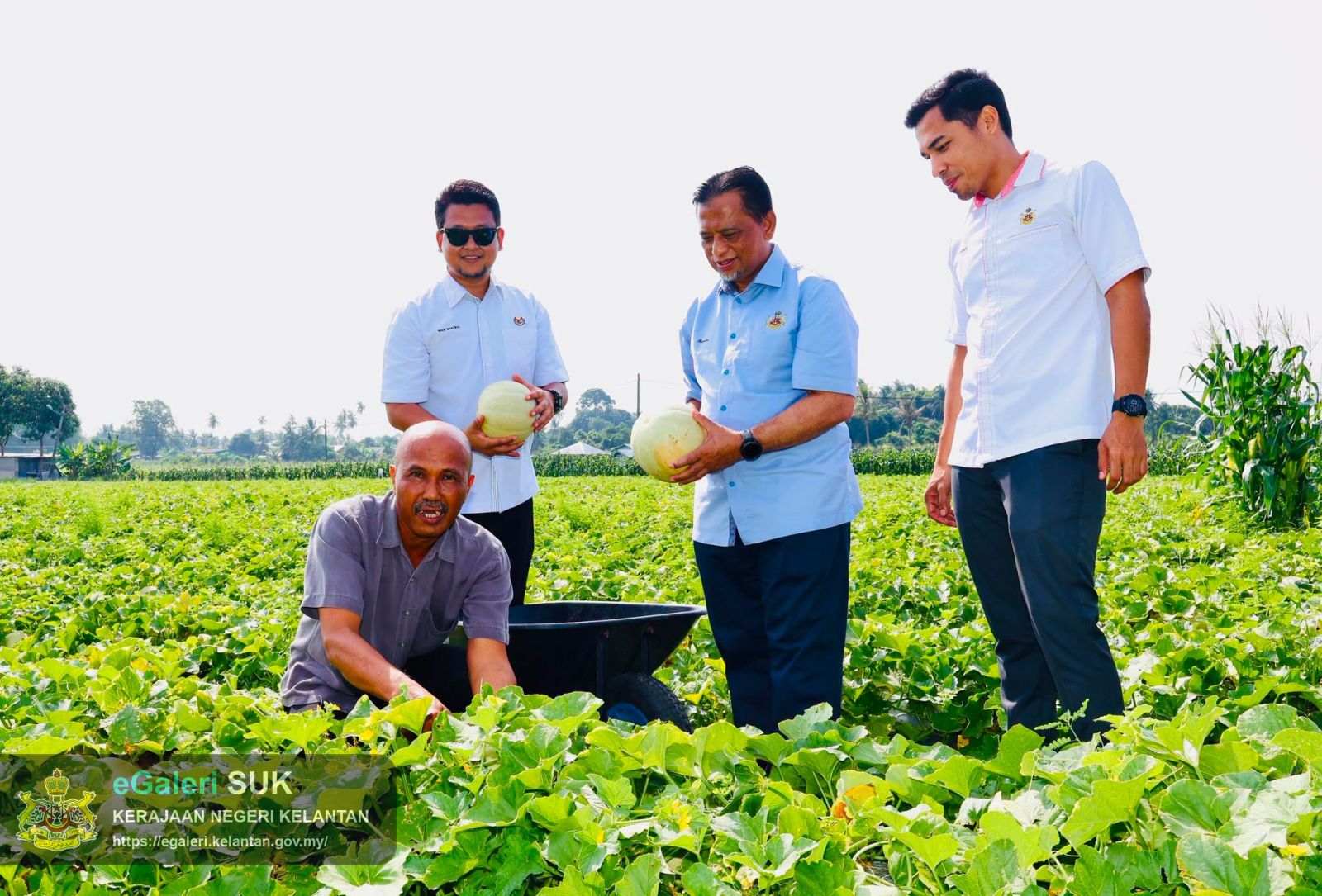 lwatan-yabrs-ketua-jajahan-ke-projek-tanaman-banggol-melon-rock-melon-3.jpg