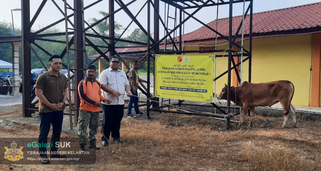 program-agihan-daging-lembu-kurniaan-kdymm-sultan-muhammad-v-di-jajahan-jeli-4.jpg