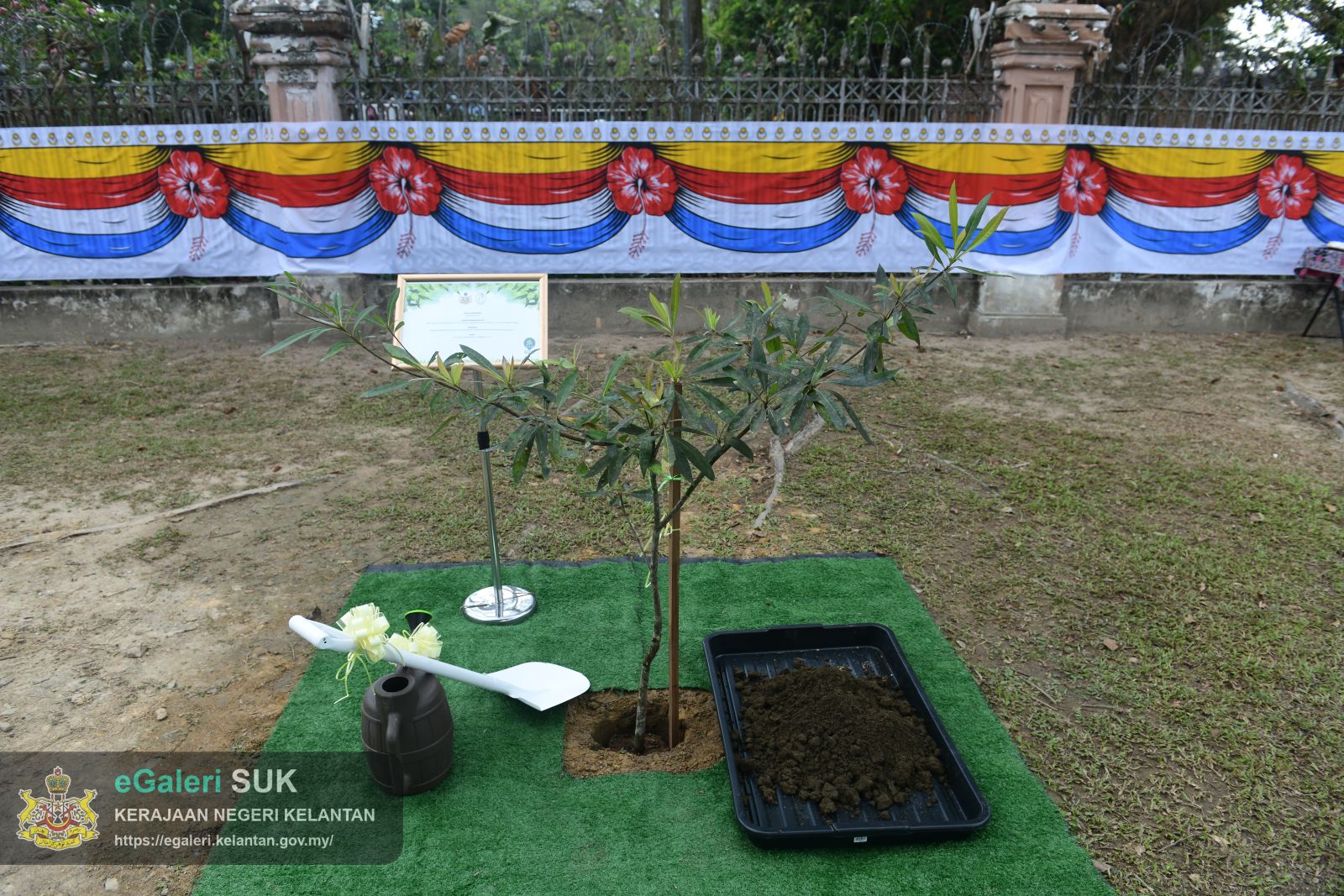program-penanaman-pokok-blue-quandong-1.JPG