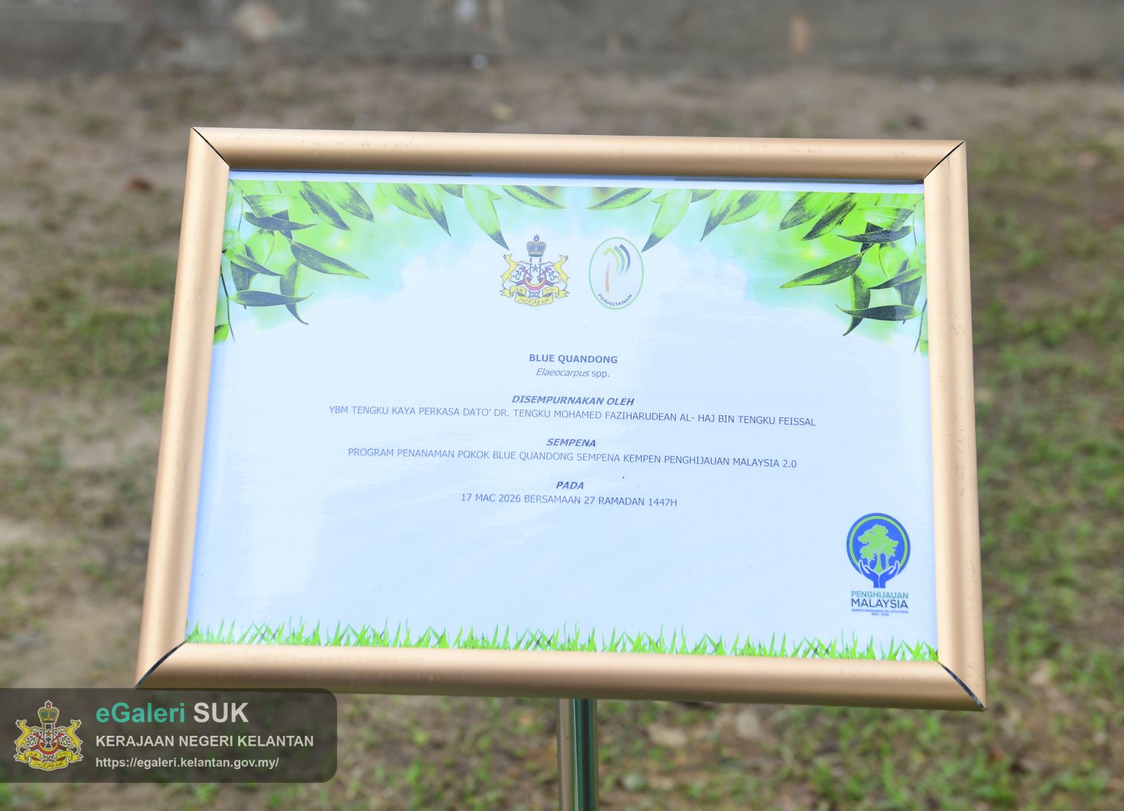 program-penanaman-pokok-blue-quandong-2.JPG
