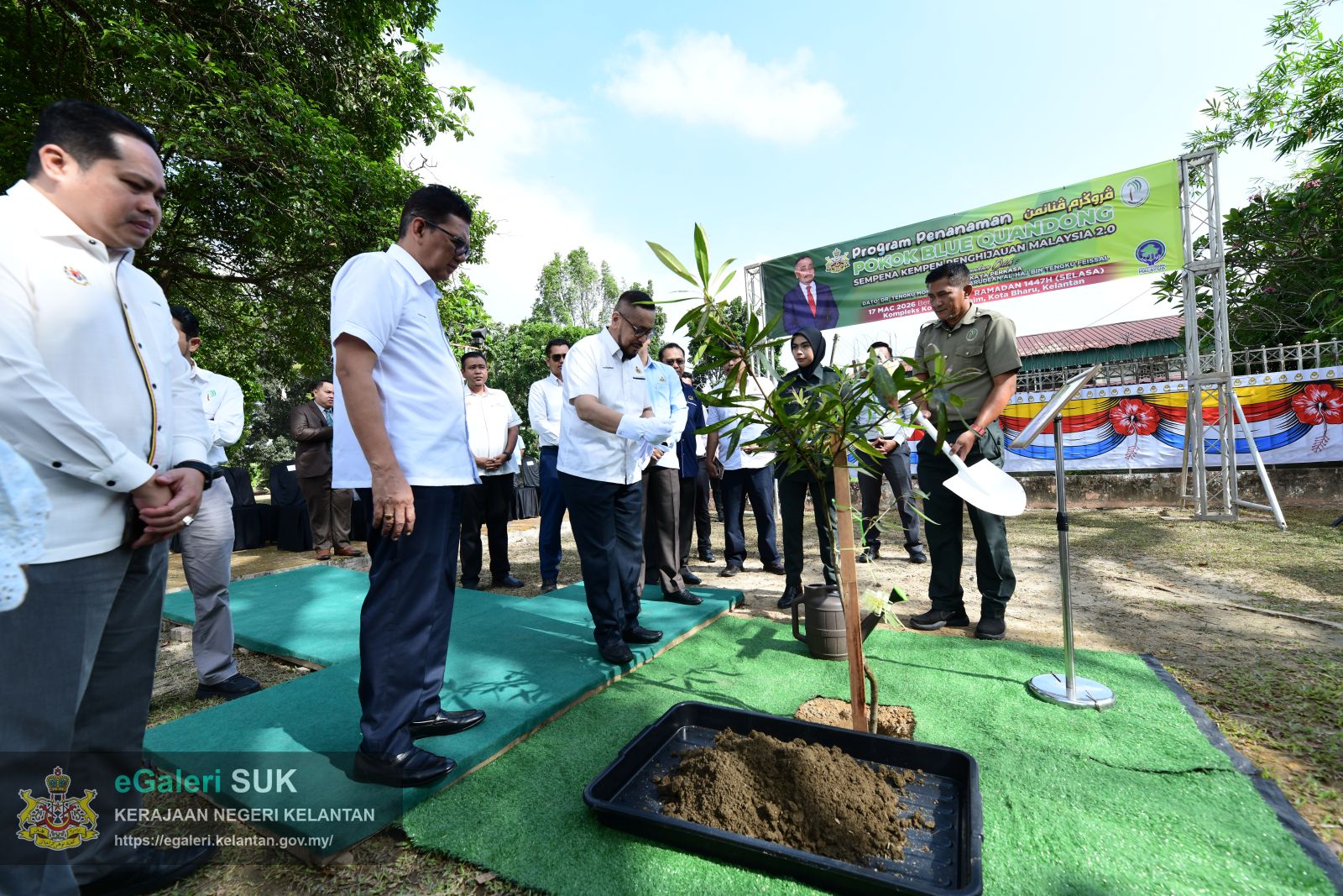 program-penanaman-pokok-blue-quandong-21.JPG