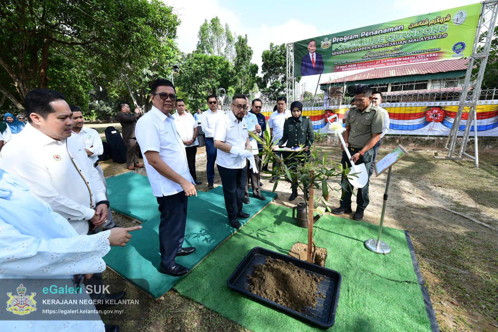 program-penanaman-pokok-blue-quandong-22.JPG