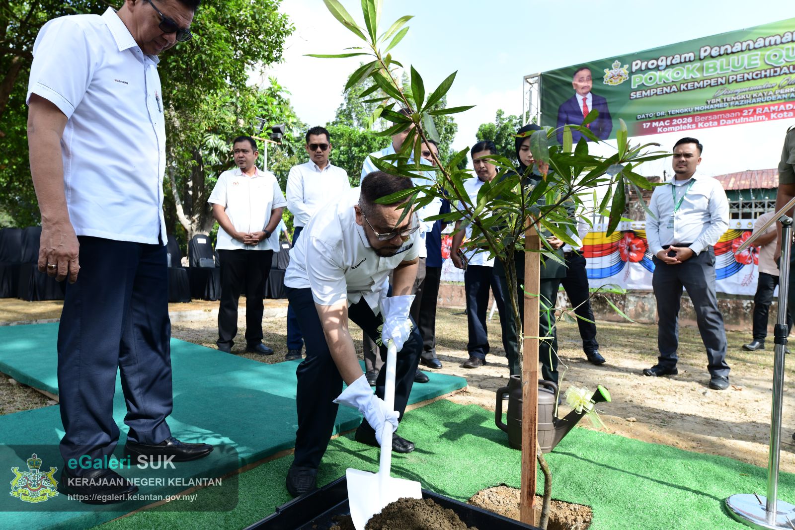 program-penanaman-pokok-blue-quandong-25.JPG