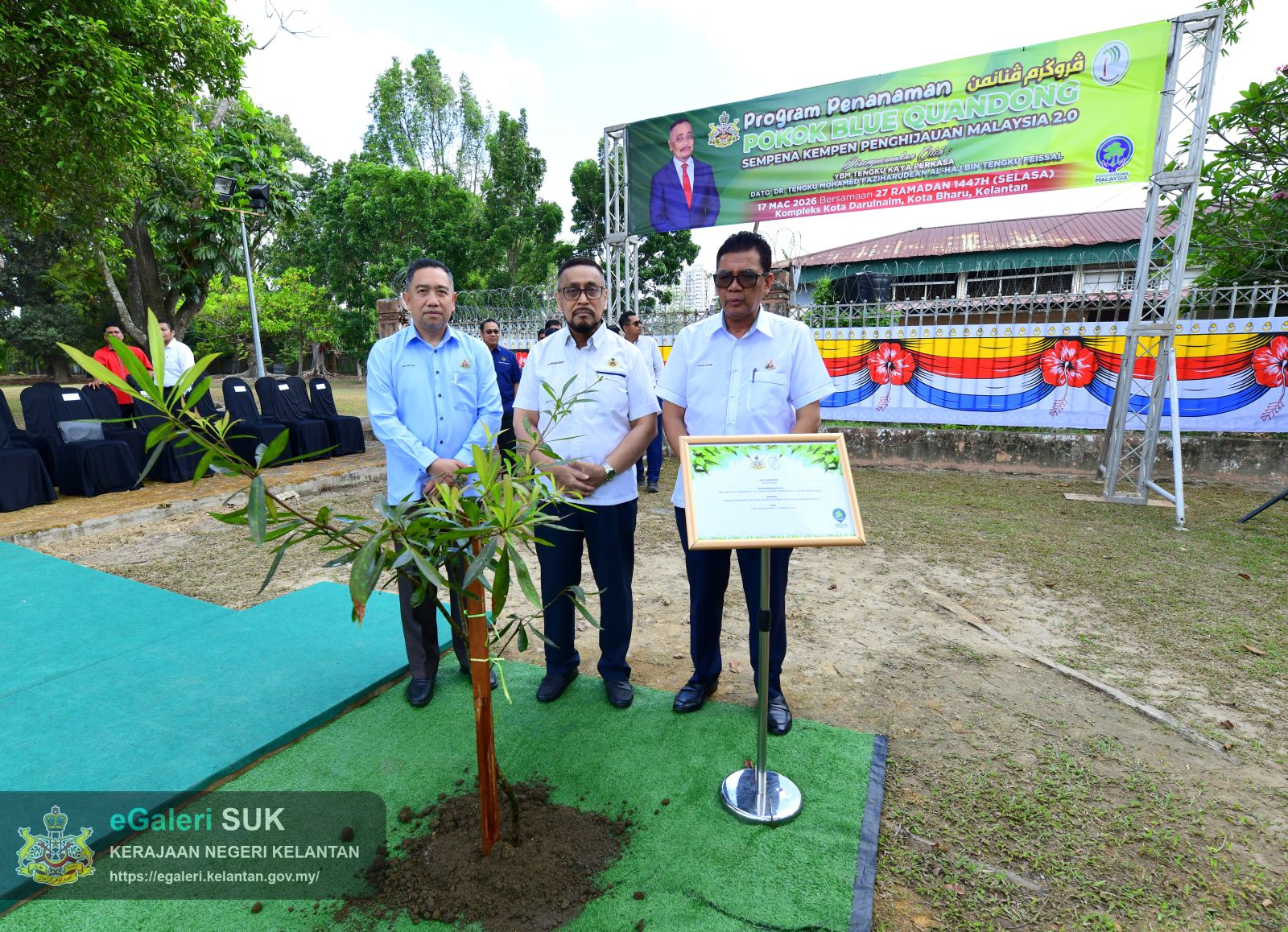 program-penanaman-pokok-blue-quandong-39.JPG