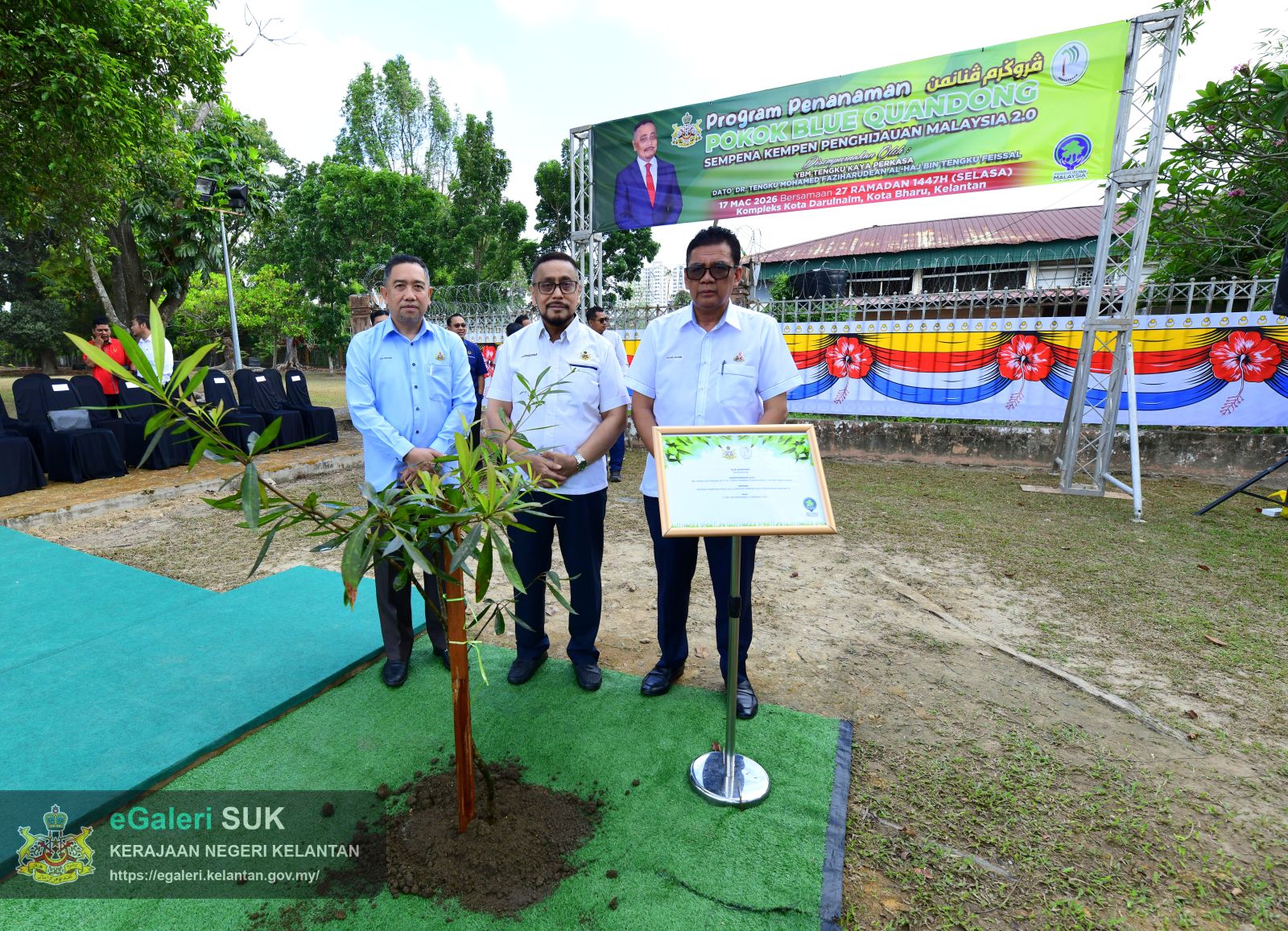 program-penanaman-pokok-blue-quandong-40.JPG