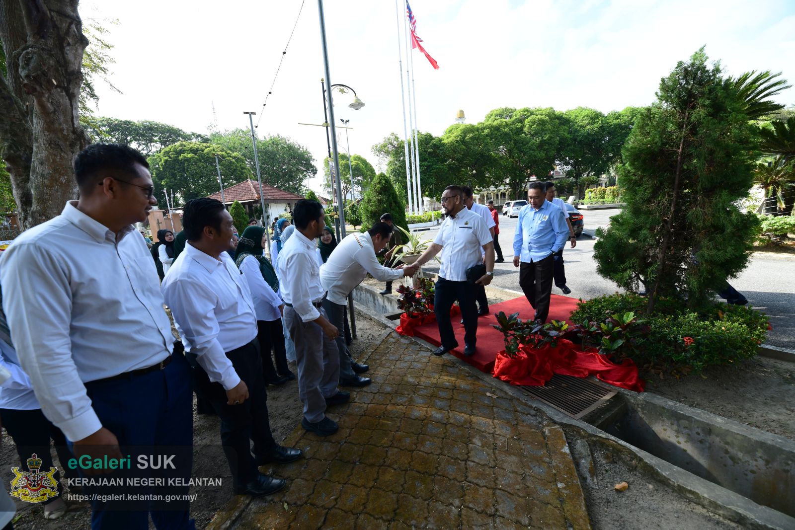 program-penanaman-pokok-blue-quandong-8.JPG
