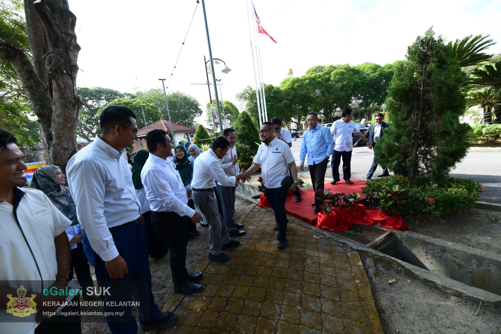 program-penanaman-pokok-blue-quandong-9.JPG