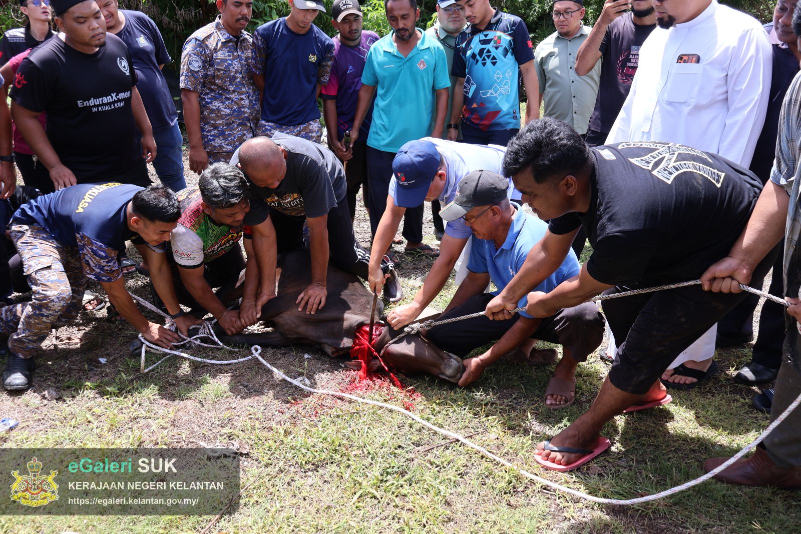 program-sembelihan-perdana-peringkat-jajahan-kuala-krai-10.JPG