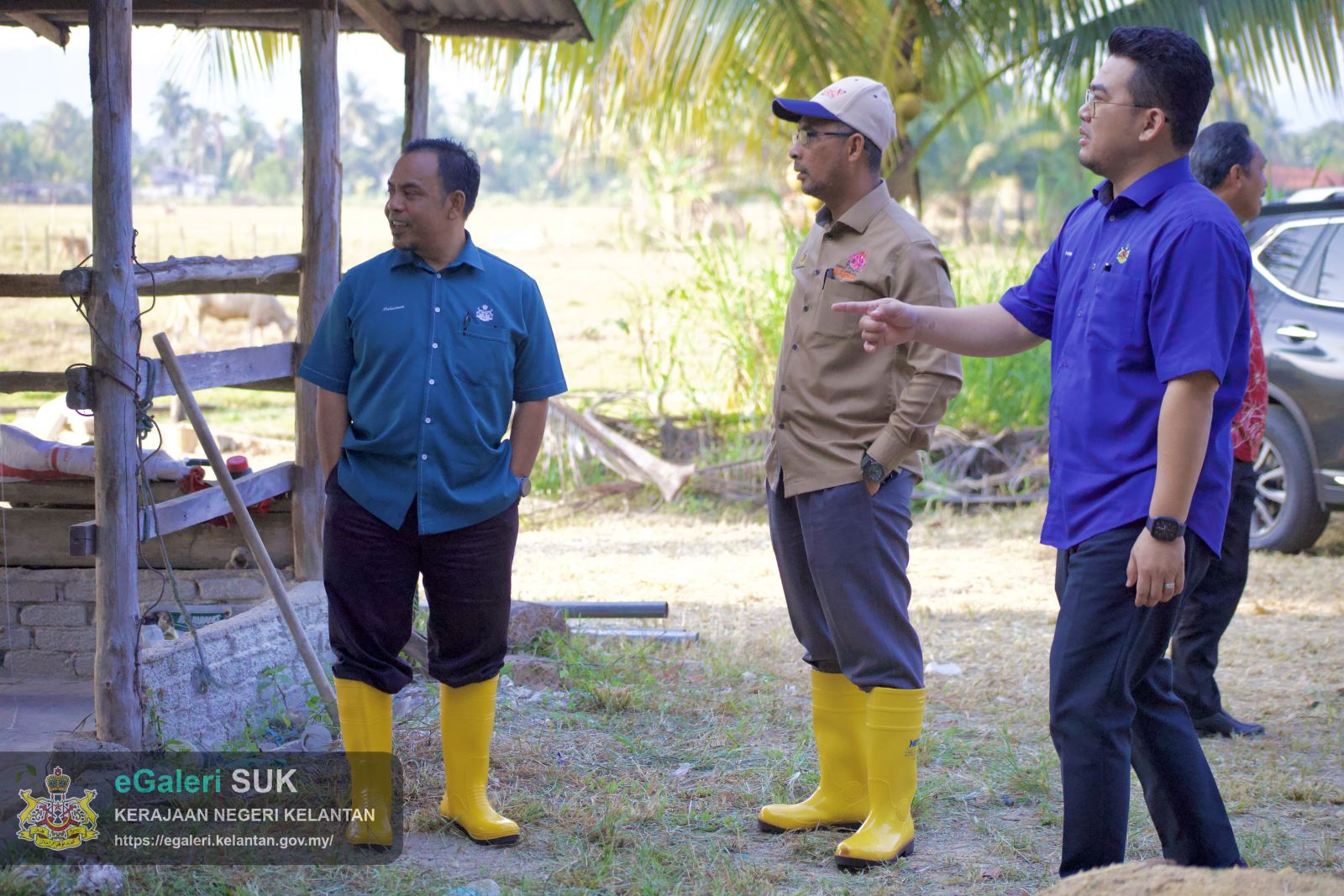 rakaman-gambar-proses-melapah-lembu-bagi-program-agihan-daging-lembu-kurniaan-kebawah-duli-yang-maha-mulia-sultan-muhammad-v-2.jpg