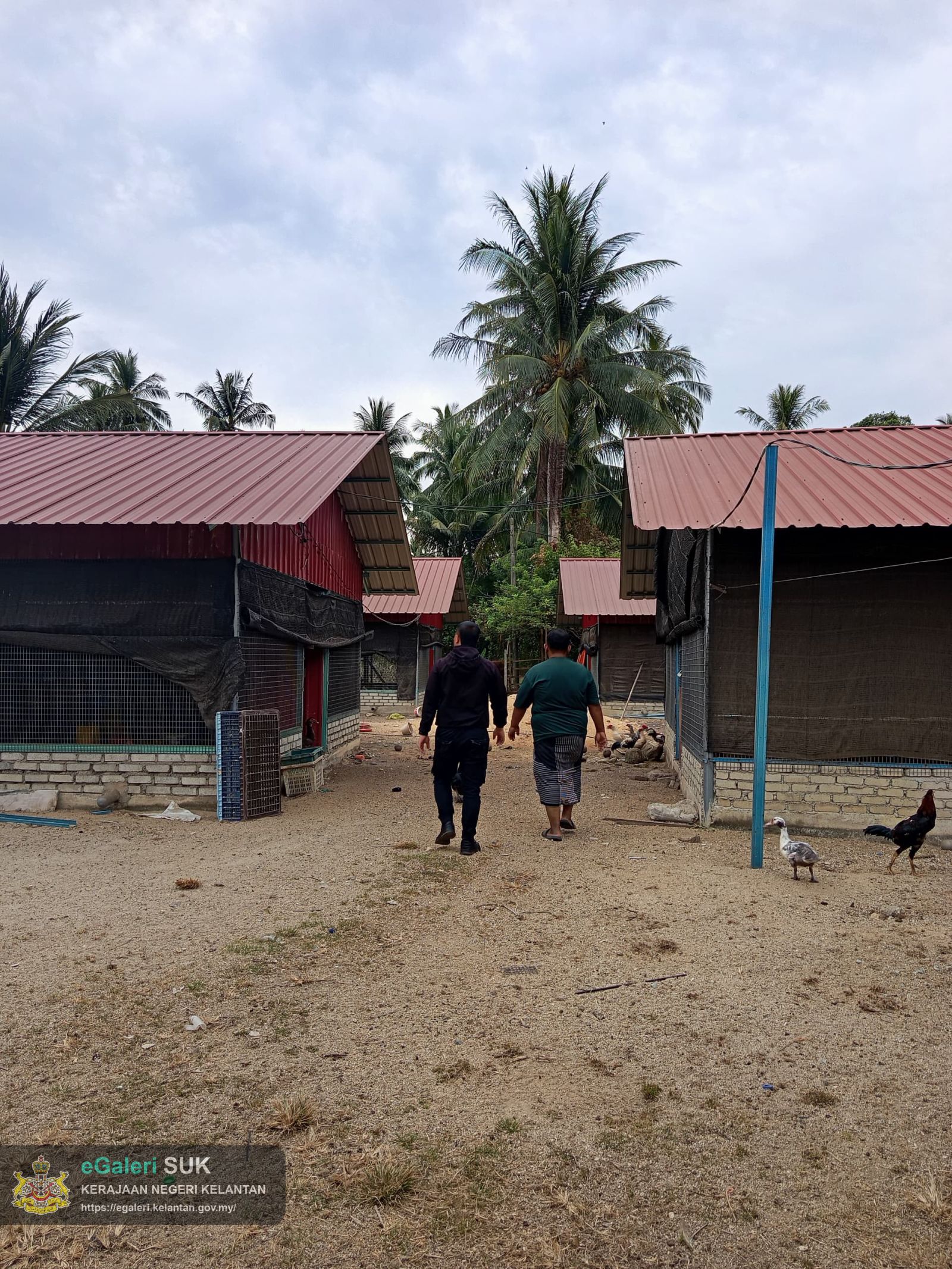 semakan-status-ladang-unggas-di-bawah-enakmen-perladangan-unggas-2005-2.jpg