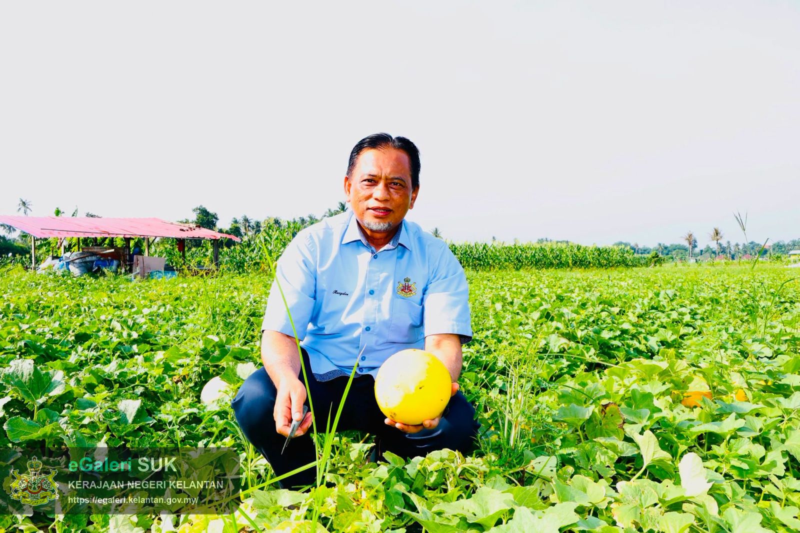 Lwatan YABrs Ketua Jajahan Ke Projek Tanaman Banggol Melon Rock Melon