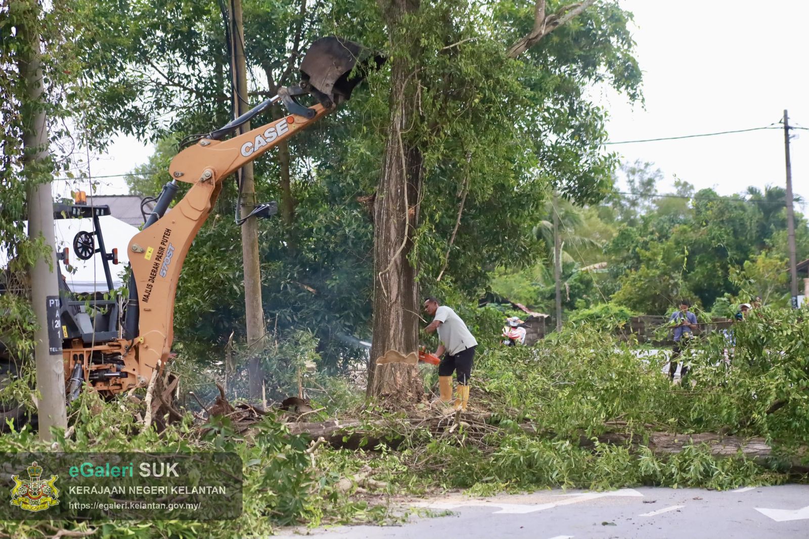 PROGRAM PENEBANGAN POKOK USANG DI JALAN PASIR PUTEHTOK BALI YANG MELIBATKAN PELBAGAI AGENSI