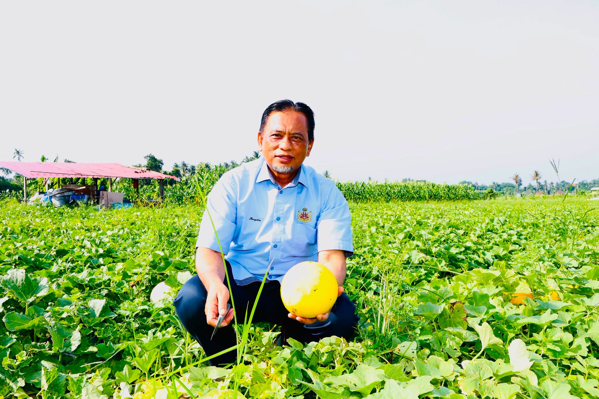 Lwatan YABrs Ketua Jajahan Ke Projek Tanaman Banggol Melon Rock Melon