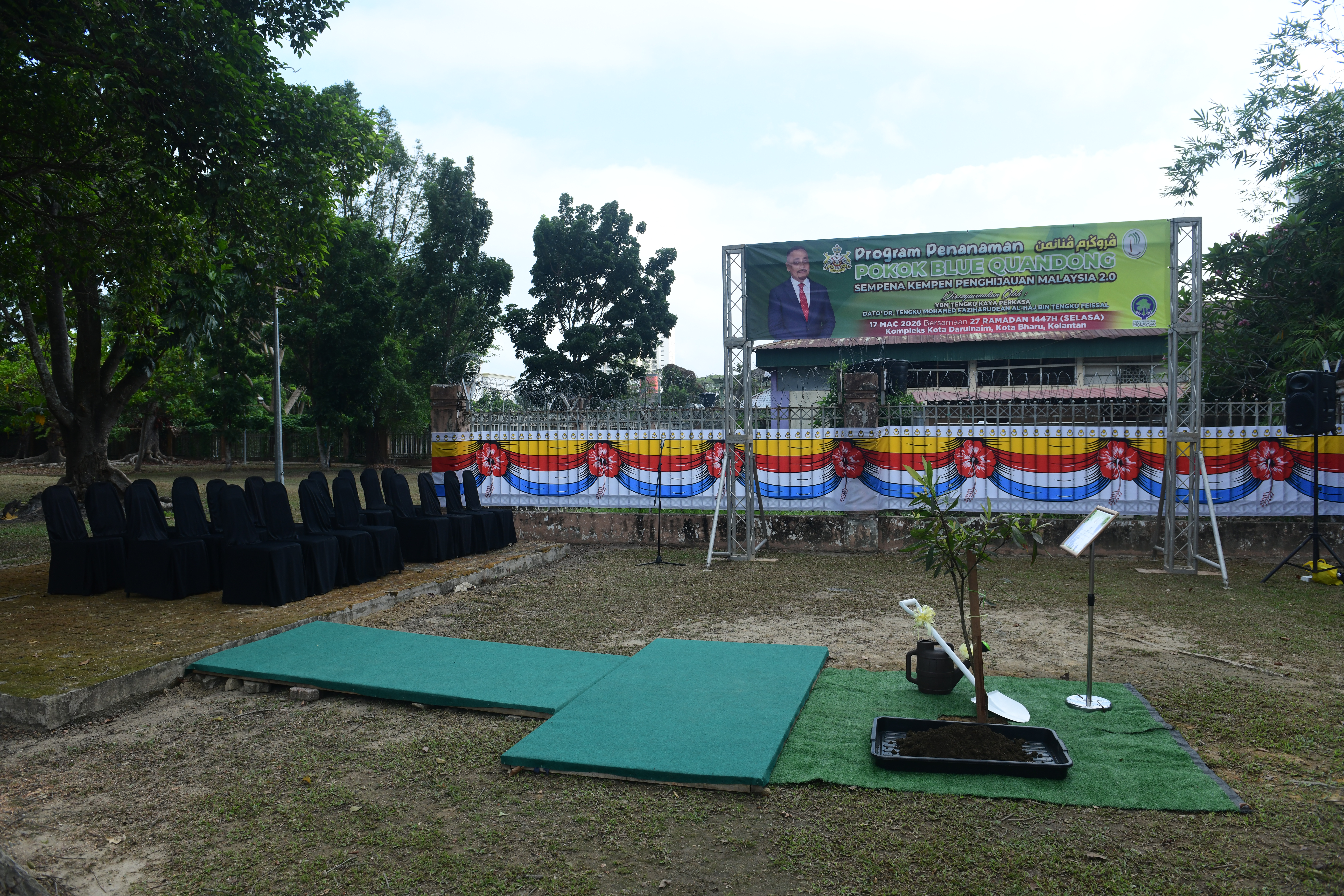 Program Penanaman Pokok Blue Quandong