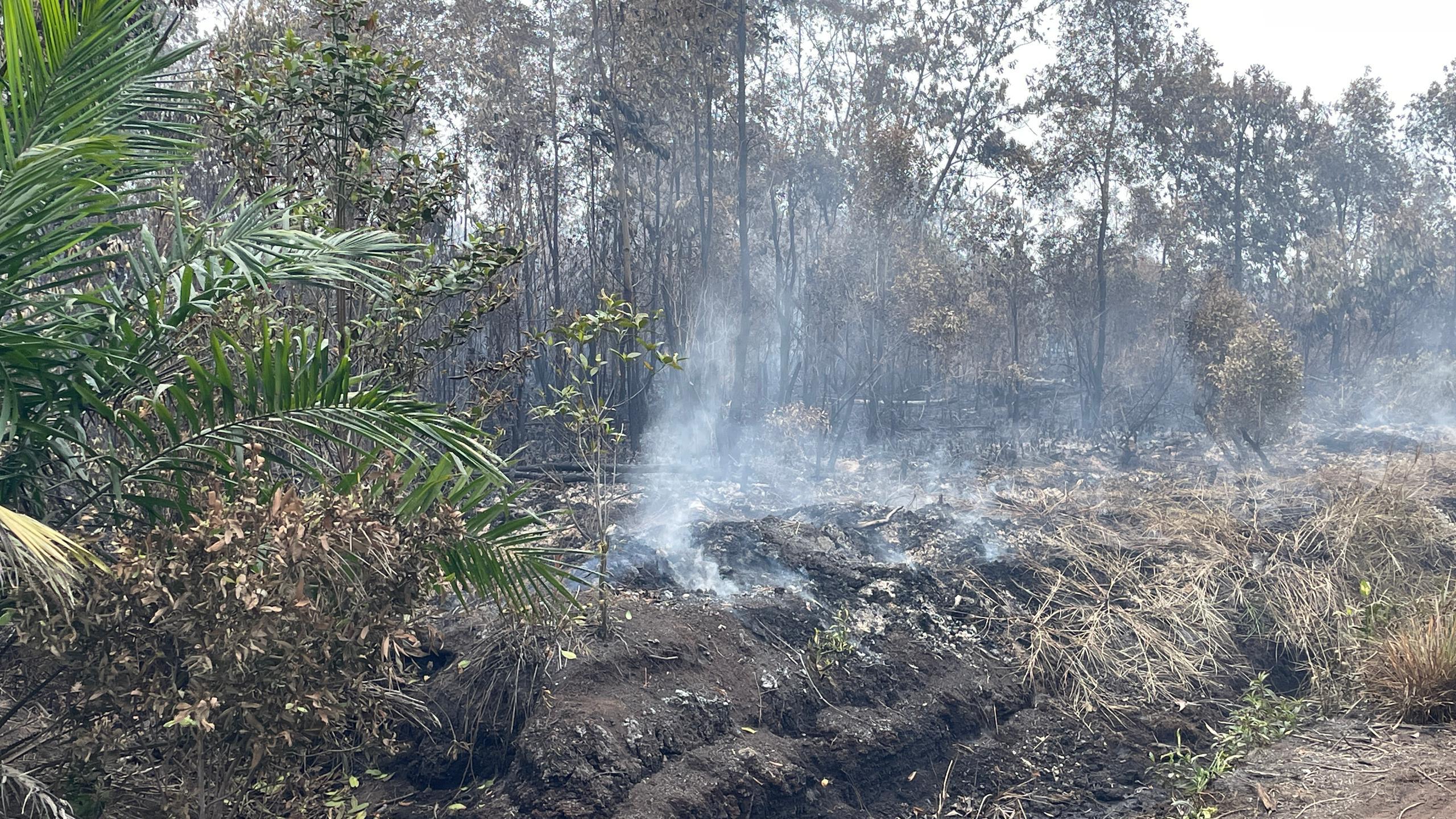 LAWATAN KERJA KE TEMPAT PEMBAKARAN TANAH GAMBUT DI KAWASAN BERIS LALANG BACHOK