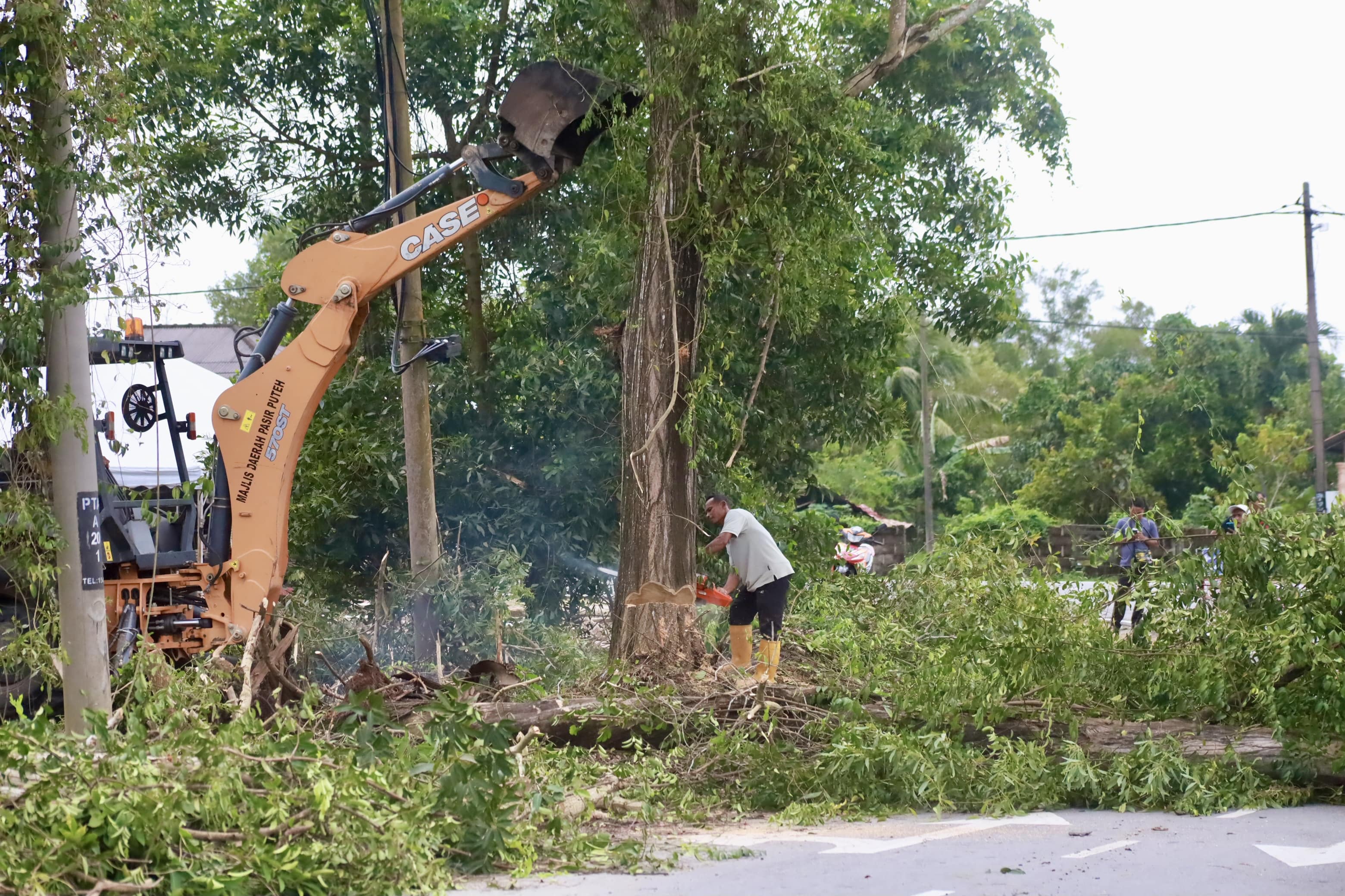PROGRAM PENEBANGAN POKOK USANG DI JALAN PASIR PUTEHTOK BALI YANG MELIBATKAN PELBAGAI AGENSI